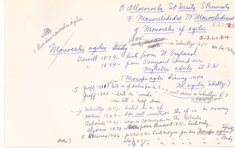 index card