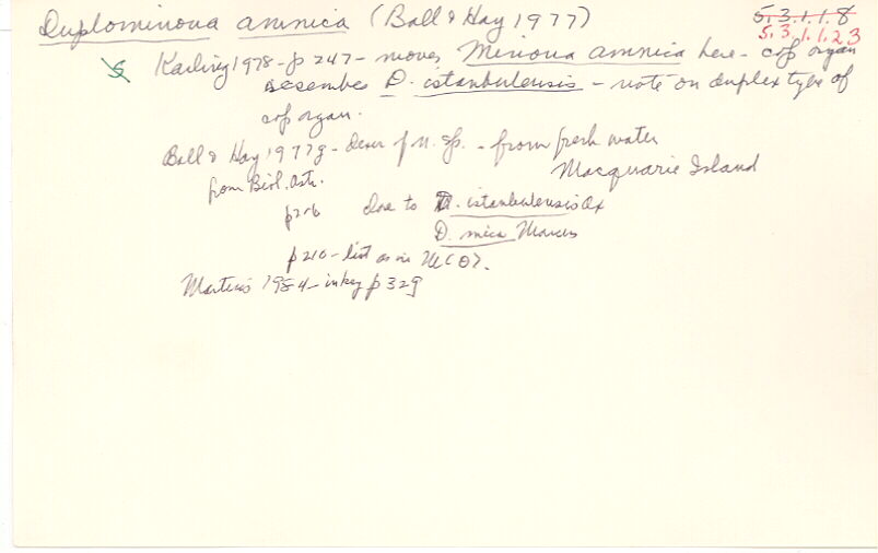 index card