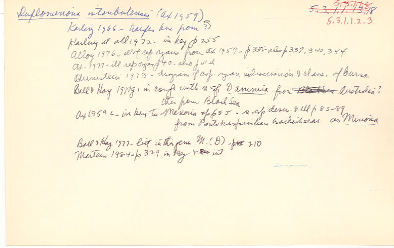 index card