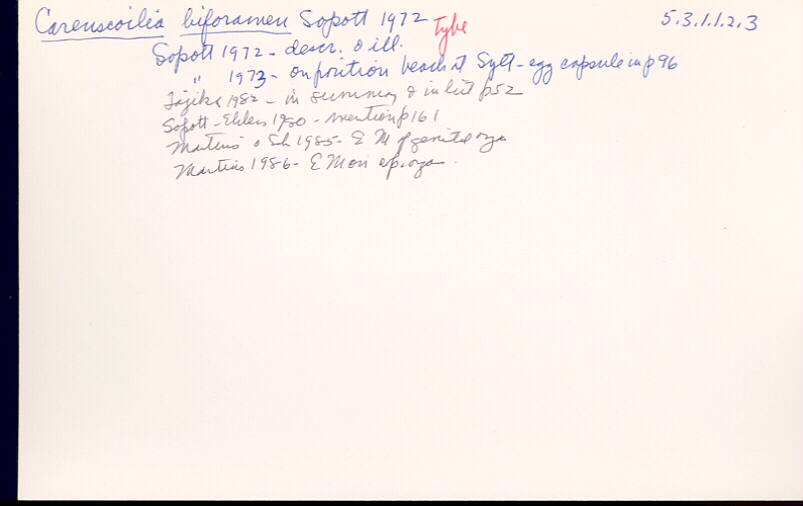 index card