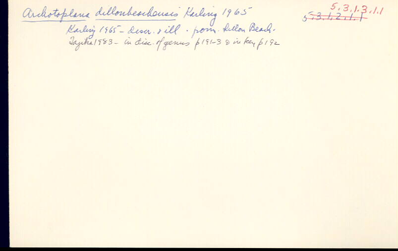 index card
