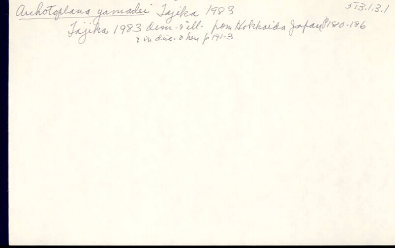 index card