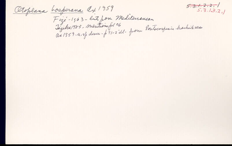 index card