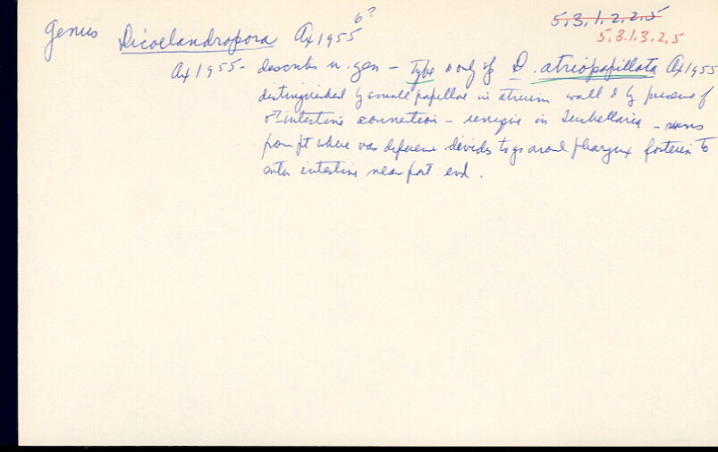index card
