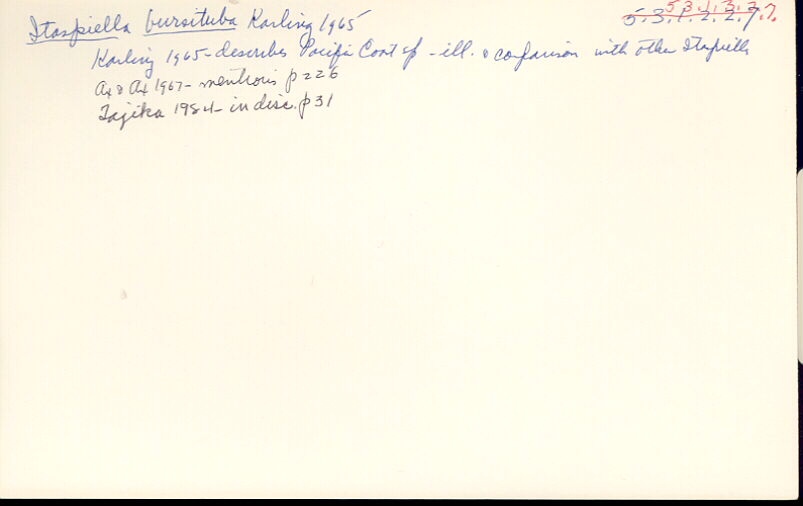 index card