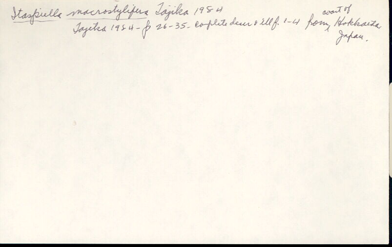 index card