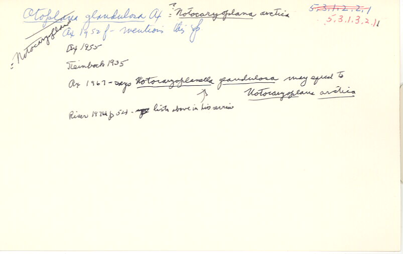 index card