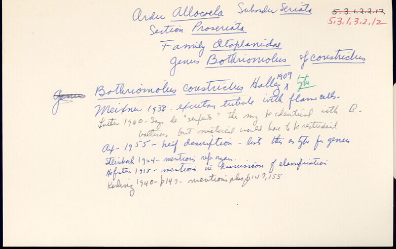 index card