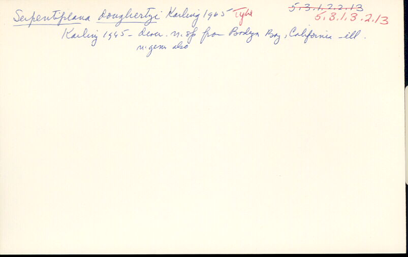 index card
