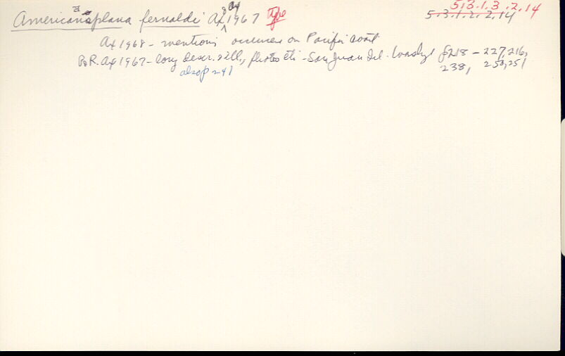 index card
