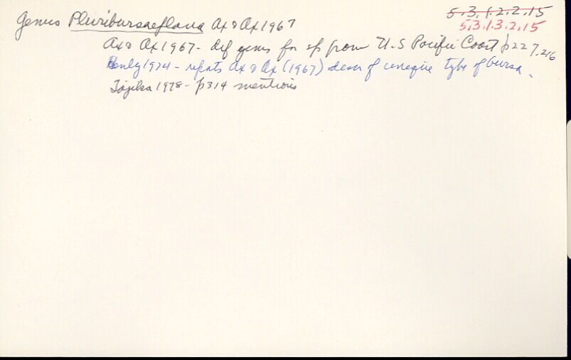 index card