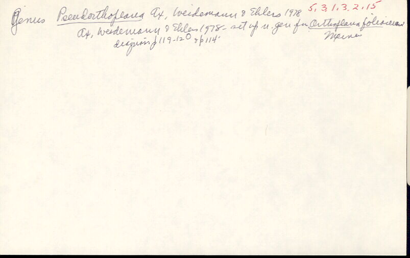 index card