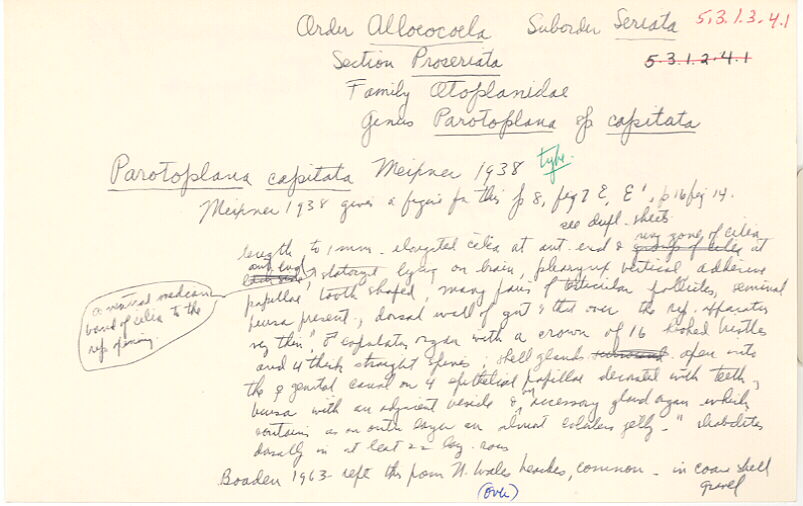 index card