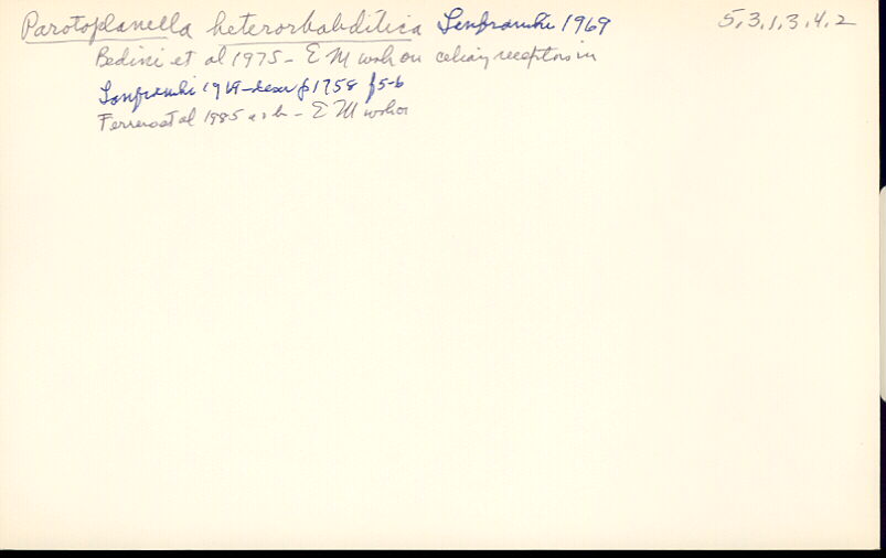 index card