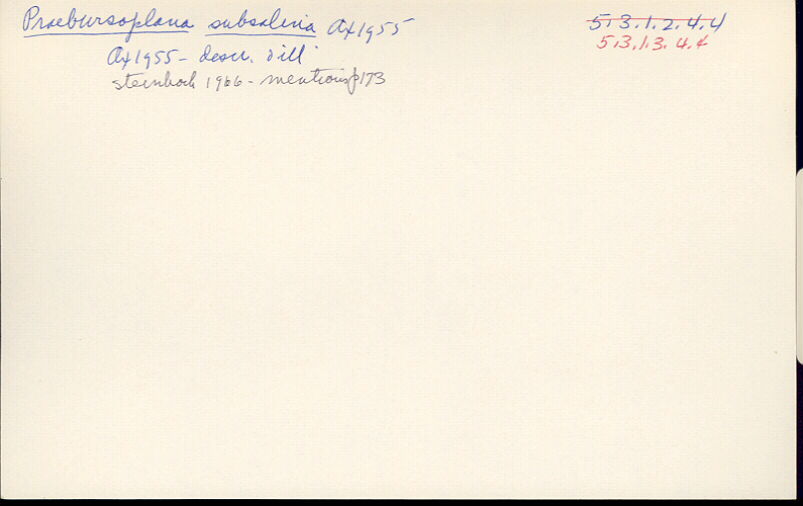 index card