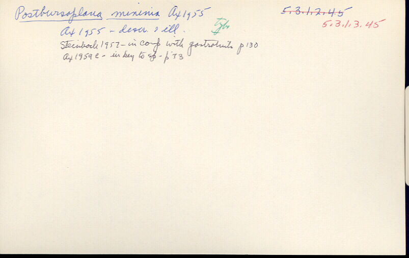 index card