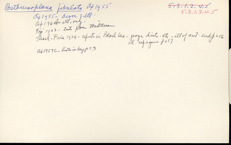 index card