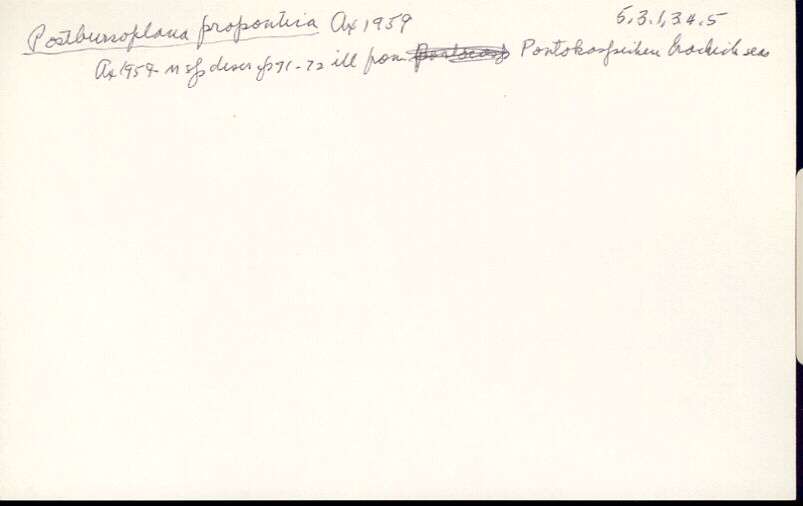index card
