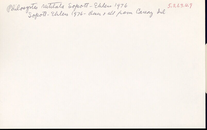index card