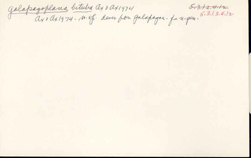 index card