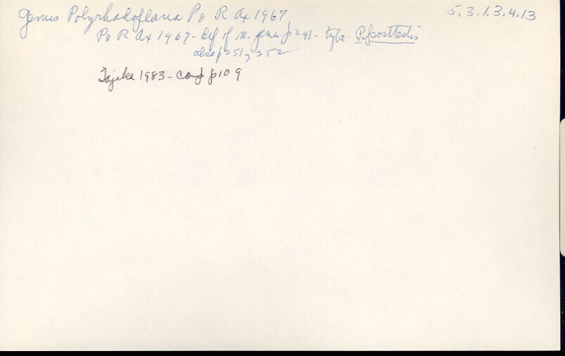 index card