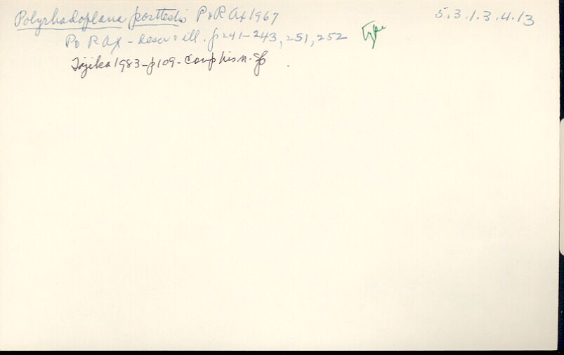 index card
