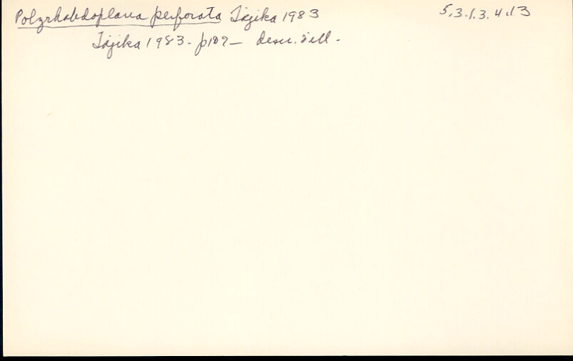 index card
