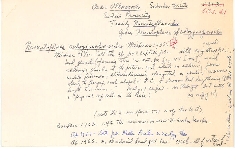 index card