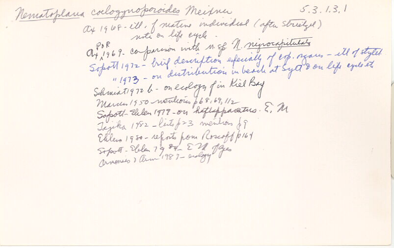 index card