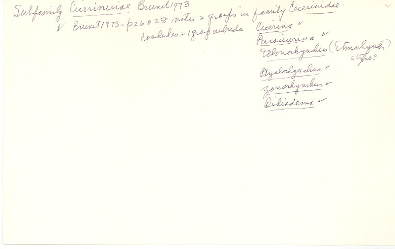 index card