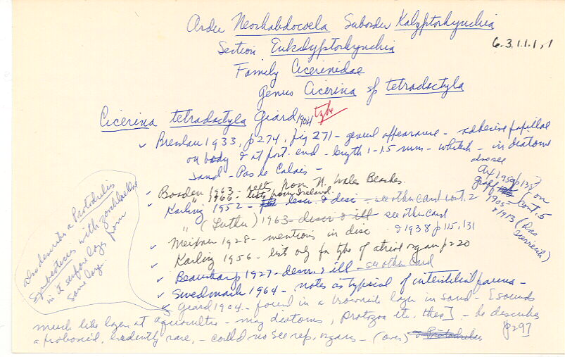 index card