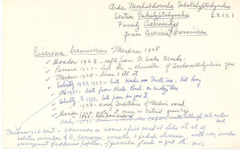 index card