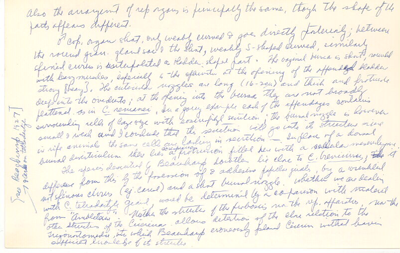 index card