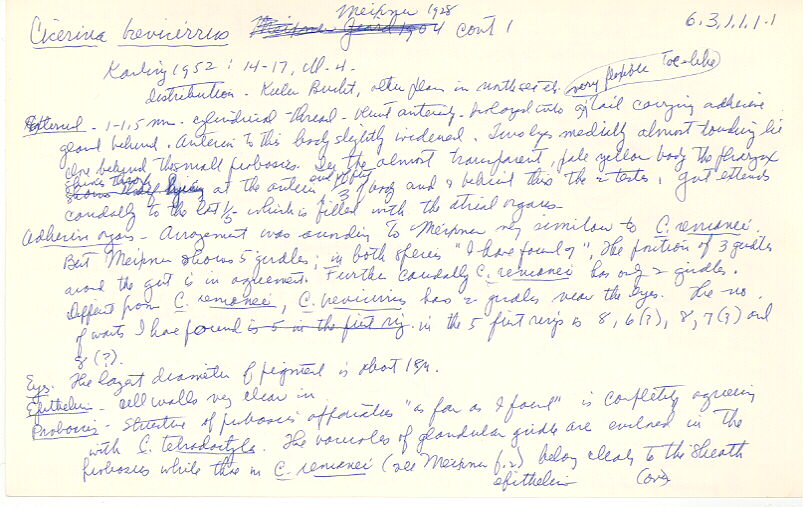 index card