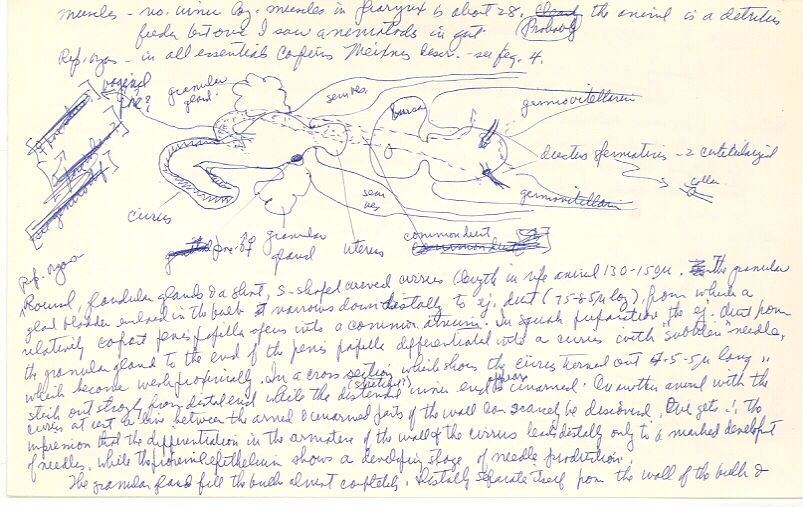 index card