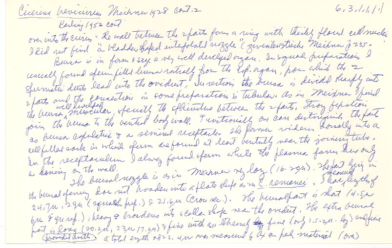index card