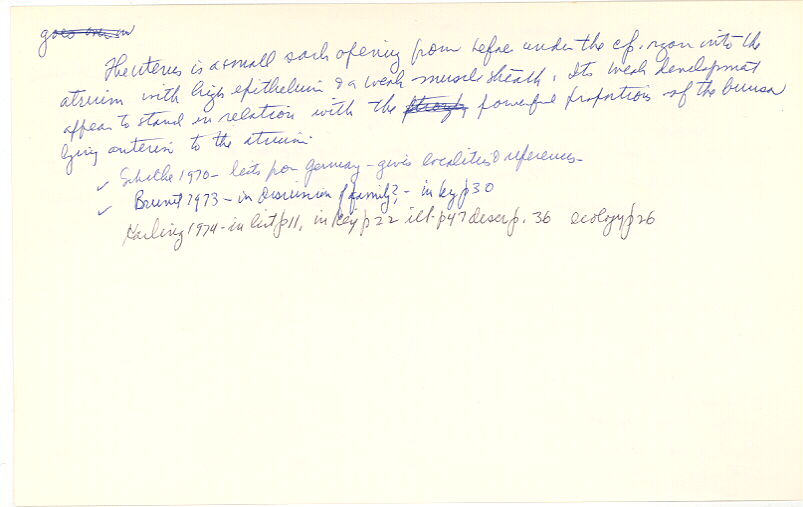 index card