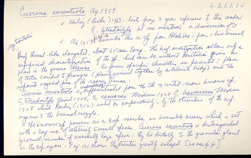 index card
