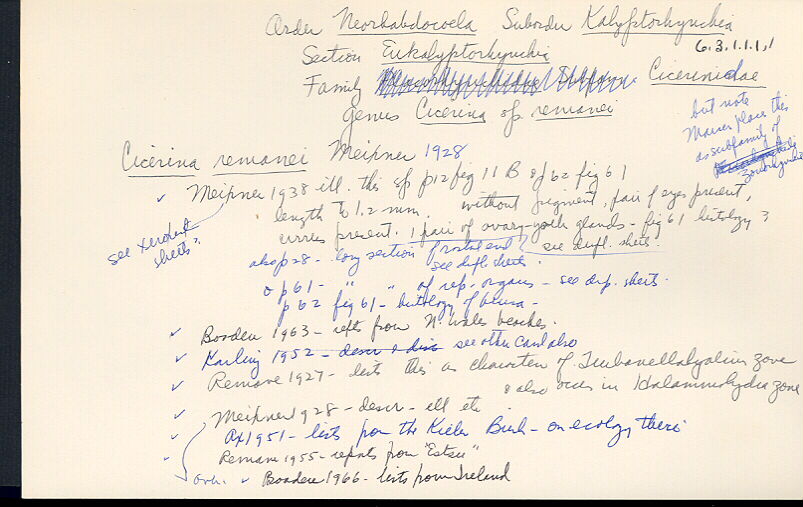 index card