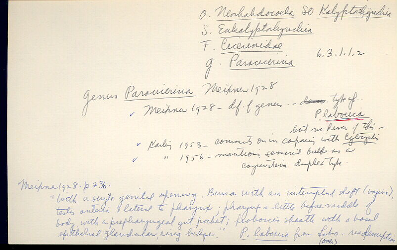 index card