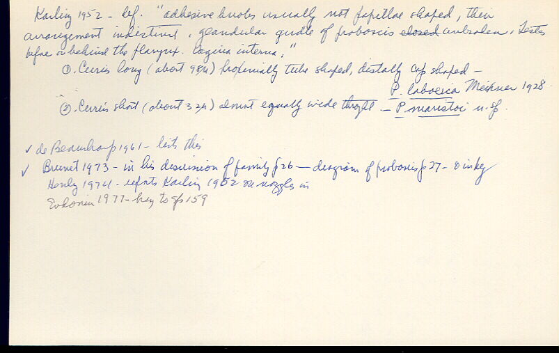 index card