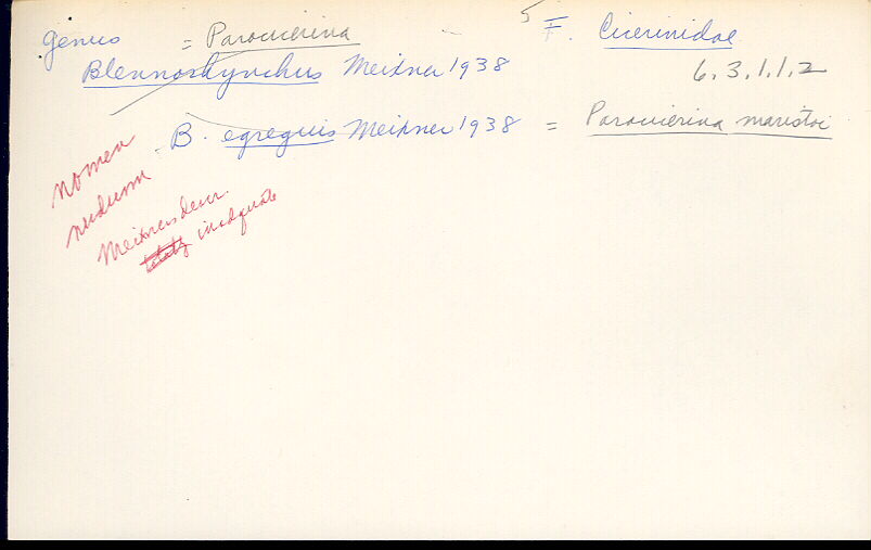 index card