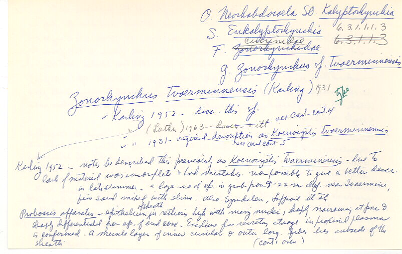 index card