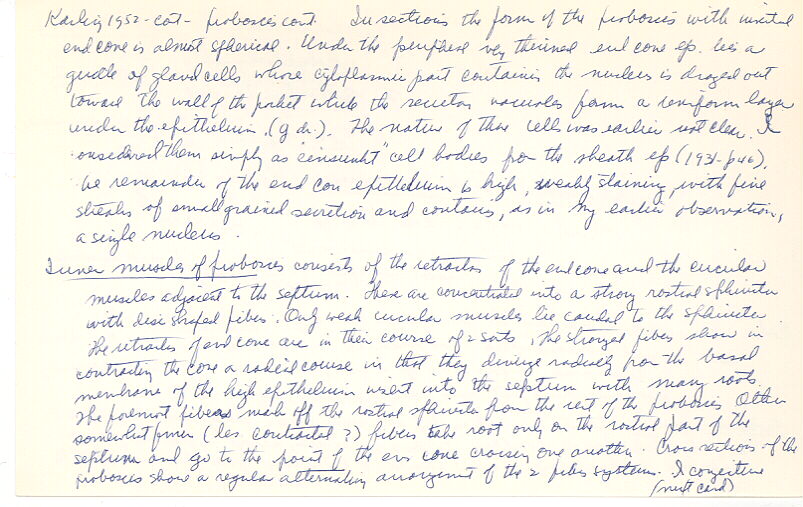 index card