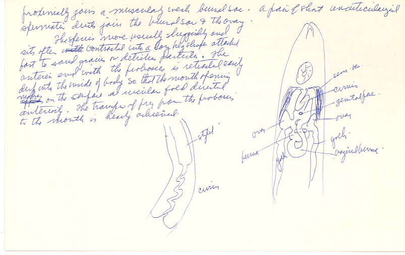 index card