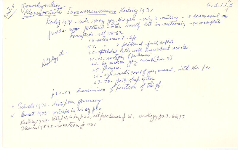 index card