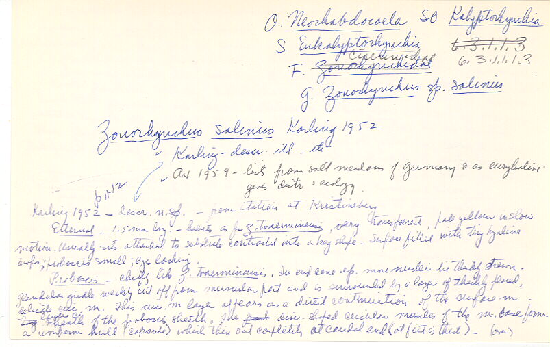 index card