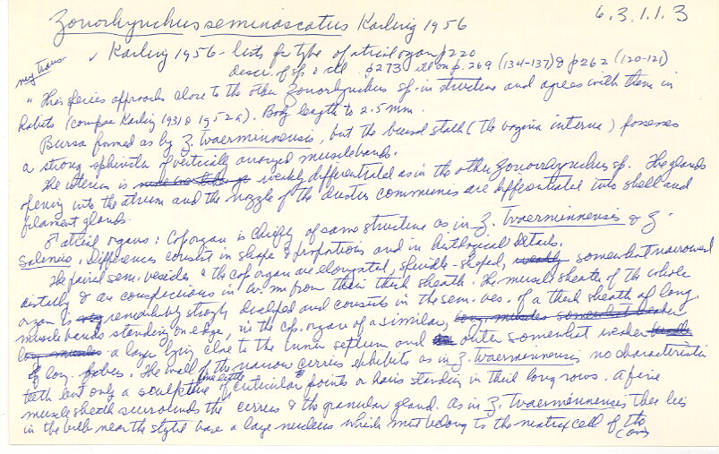 index card