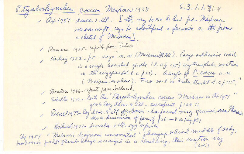 index card