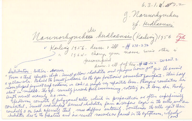 index card